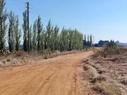 38ha farm in leeuwpoort js, witbank!