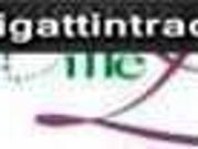 391 sqm inner lot at mille luce subdivision antipolo city