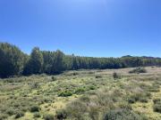 397.6 ha Farm in Middelburg