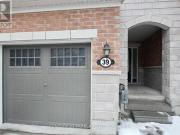 39 Fusilier Drive, Toronto, ON, M1L 0J4 house for lease...