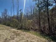 39 JASMINE LN, RAMER, AL 36069 Vacant Land For Sale MLS#...