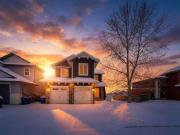 39 Morris Court, Blackfalds, AB, T4M 0B3 house for sale...