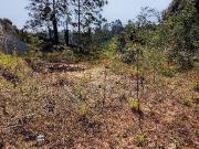 3 082 m² Land available in Forest Hills