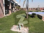 3.15 Kanal Dairy Farm With Swimming Pool Ideal Farmhouse...