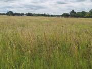 3.1 ha Land available in Nanescol