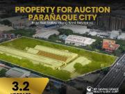 3.2 Hectare Land for Auction For Sale in Sun Valley,...