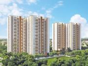 3.5 BHK Apartment in Arakere for rent Bangalore. The...