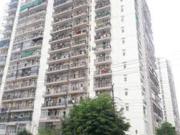 3.5 BHK Apartment in Sector 52 for rent Noida. The... 3.5 BHK Apartment in Sector 52 for rent Noida. The...