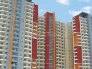 3.5 BHK Apartment in Sector 75 for resale Faridabad. The...