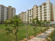 3.5 BHK Apartment in Sector 77 for resale New Gurgaon....