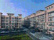 3.5 BHK Independent Builder Floor in Sector 36 Sohna for...