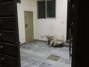3.5 Marla full house for rent oposit lums University...