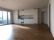 3.5 Zimmer, 103 m², 1. Stock