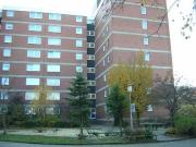 3,5 Zimmer 76 m² 325 € Kaltmiete Wohnungen in Hamm