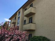 3.5 Zimmer, 76 m², EG