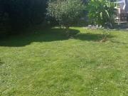 3,5 Zimmer 80 m² 400.000 € Kaufpreis Wohnungen in Reutlin.