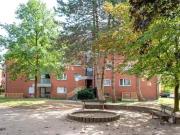 3,5 Zimmer 81 m² 438 € Kaltmiete Wohnungen in Dorsten 3,5 Zimmer 81 m² 438 € Kaltmiete Wohnungen in Dorsten