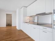 3.5 Zimmer, 95 m², 1. Stock