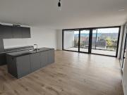 3.5 Zimmer Attikawohnung