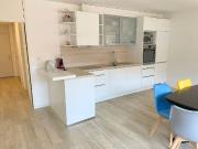 3.5 Zimmer möbl. Wohnobjekt