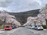3,5 Zimmer Wohnung im Herzen von Martigny