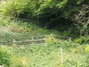 3.5 Zimmerwohnung in Gunten | dreamo. Ch