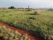 3 600 m² Land available in Katlehong