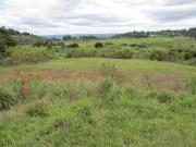 3 726 m² Land available in Assagay
