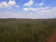 3.7 ha Land available in Withok Estates