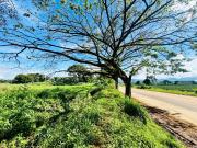 3.7 Hectares Expandable Prime Lot FOR SALE along...