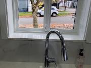 $3.800, 3 Br. 3 Bathrooms, Brand New Lane Way House For Rent