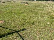 3.8 ha Land available in Klerksdorp Central