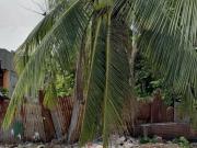 3.9M 265SQM PRIME LOT FOR SALE NEAR SAMAL WHARF – SASA,...