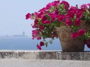 3 APPARTMENTS MIT MEERBLICK IN LIDO CONCHIGLIE Lecce