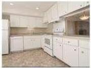3 bed, 2 bath, safe neighborhood. Cat OK!