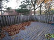 3 Bed 2 Bath Townhouse in Erin mills