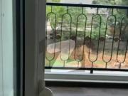 3 bed apartment for rent in sterling gulberg 2 sterling...