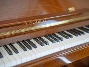 3 Bed Detached House, Polmuir Road, AB11