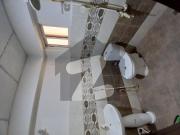 3 bed drawing dining west open corner flat for rent in...