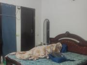 3 Bedroom 1150 Sq.Ft. Apartment in Panchsheel Vihar Delhi