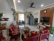 3 Bedroom 1501 Sq.Ft. Apartment in Sinhagad Road Pune