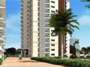 3 Bedroom 3200 Sq.Ft. Independent House in Madhapur...