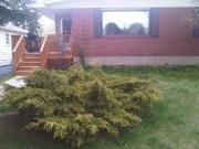 3 Bedroom Apartment Calgary AB 100443223