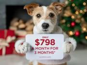 3 Bedroom Apartment Calgary AB 97602405