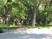 3 Bedroom Apartment for Rent at Rue Marc Sauvalle & Rue...