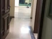 3 bedroom apartment for sale in Al Safa Heights 1...