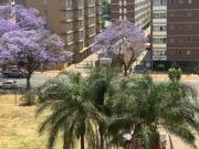 3 Bedroom Apartment in Pretoria Central