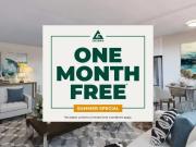 3 Bedroom Apartment Kitchener ON 96519285