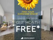 3 Bedroom Apartment North York ON 94181833