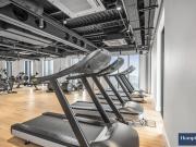 3 bedroom apartment to rent